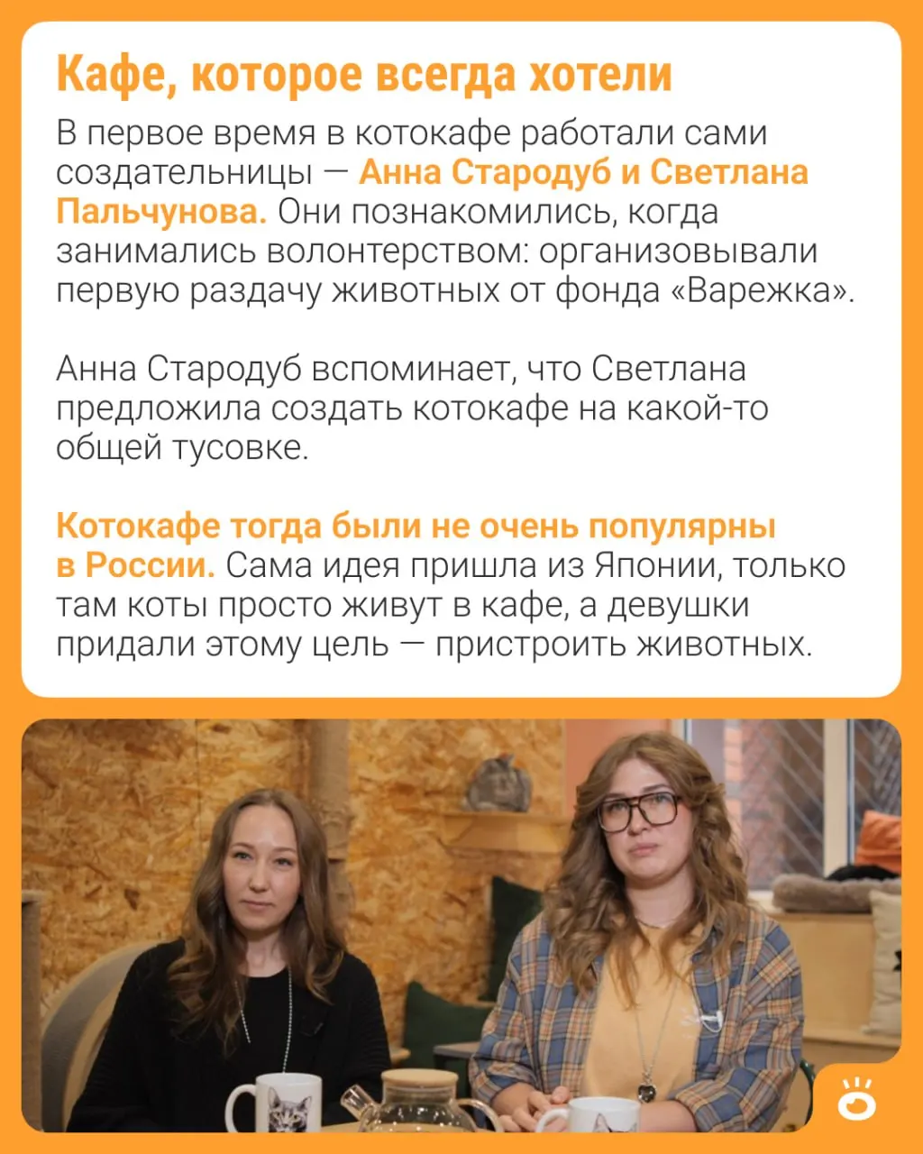 Котокафе «Мурчим», открытое в 2016 году на Коммунистической, 45, празднует десятилетие. За это время около 600 котов нашли дома, а основательницы подготовили вручение награды одной из новосибирских компаний 25 мая.