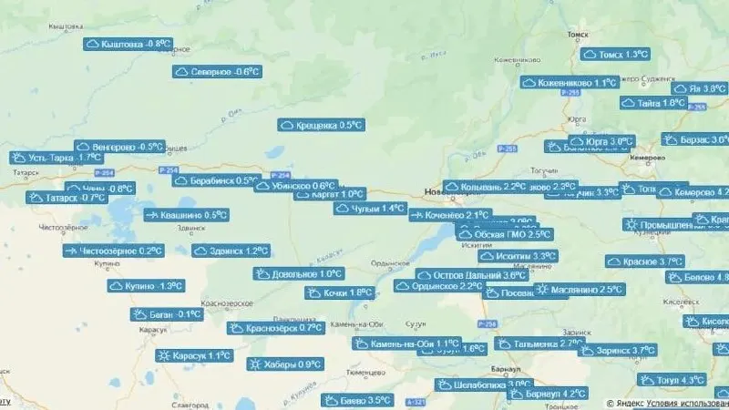 Утром в Новосибирской области местами температура упала ниже нуля. В Новосибирске +3 °C, днем ожидается потепление до +8…+10 °C.