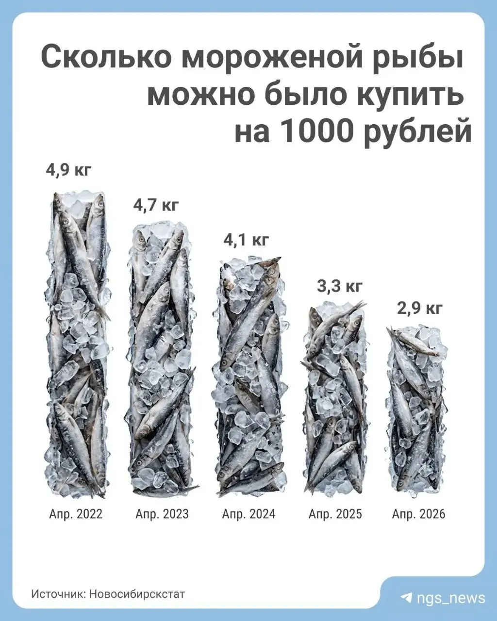 Средняя цена замороженной рыбы в регионе выросла с 336 до 347 рублей за килограмм; с 2022 года рост превысил 40%, в 2025 году произошёл резкий скачок.