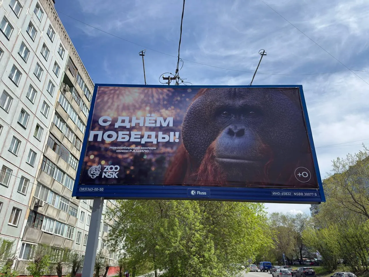 Мэрия сообщила, что баннер с поздравлением к 9 Мая и изображением орангутана убрали после жалоб жителей. Директор зоопарка утверждает, что в макете не было негативного смысла; позже появилось извинение, по факту размещения баннера начаты проверки.