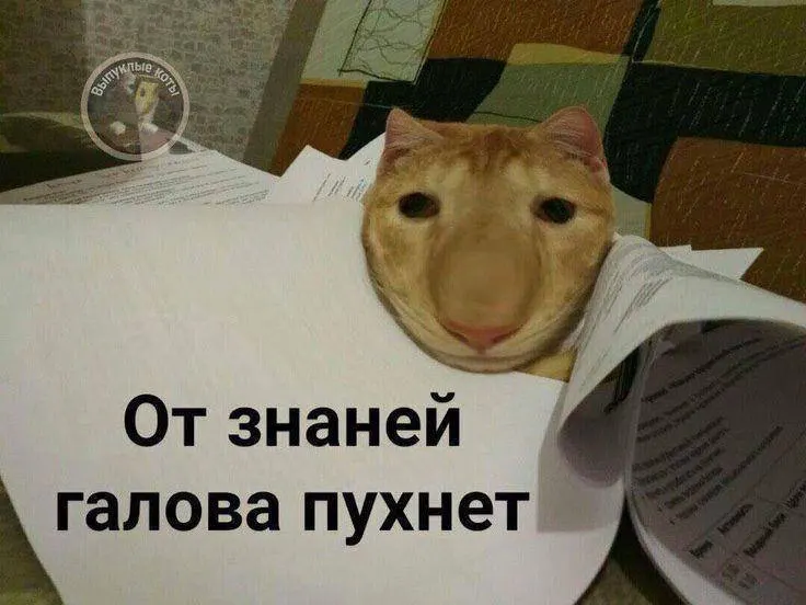 Минспорт планирует в тестовом режиме ввести норму по управлению небольшим дроном уже в этом году; с следующего года значок смогут получить желающие по всей стране, он даст до 10 баллов к экзамену.