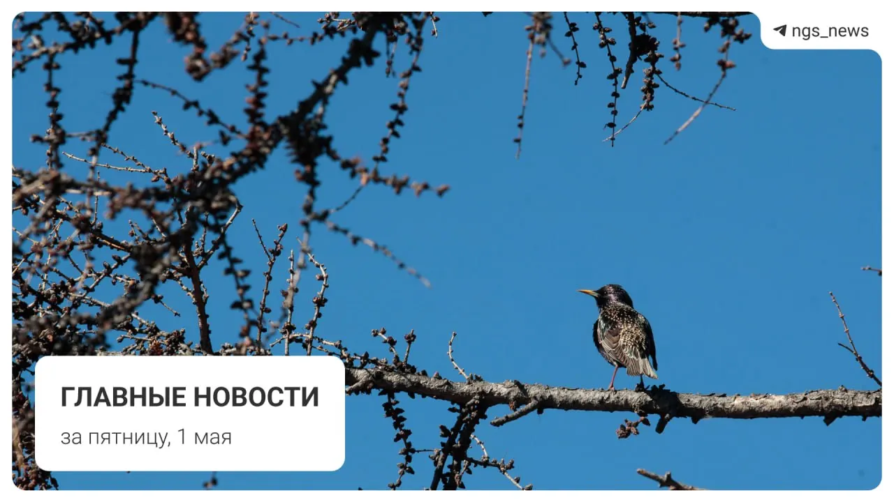 Потолок рухнул в спортивном зале детской школы в Татарске. Жертв и пострадавших нет. Также подборка других важных новостей дня в Новосибирске.