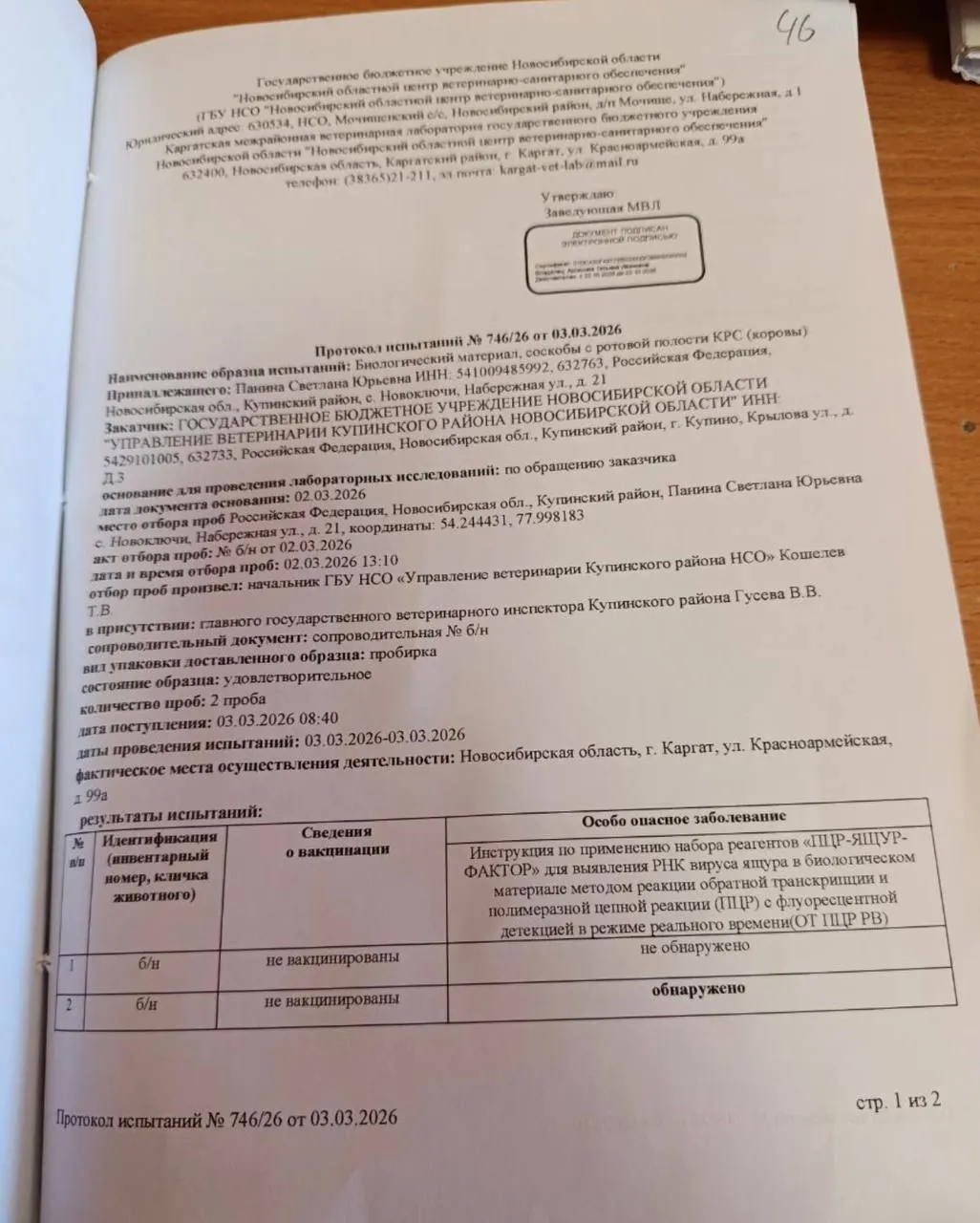 Областной ветеринарный центр зафиксировал положительный анализ на ящур у коровы из села Новоключи; позже в хозяйстве усыпили более 200 животных.