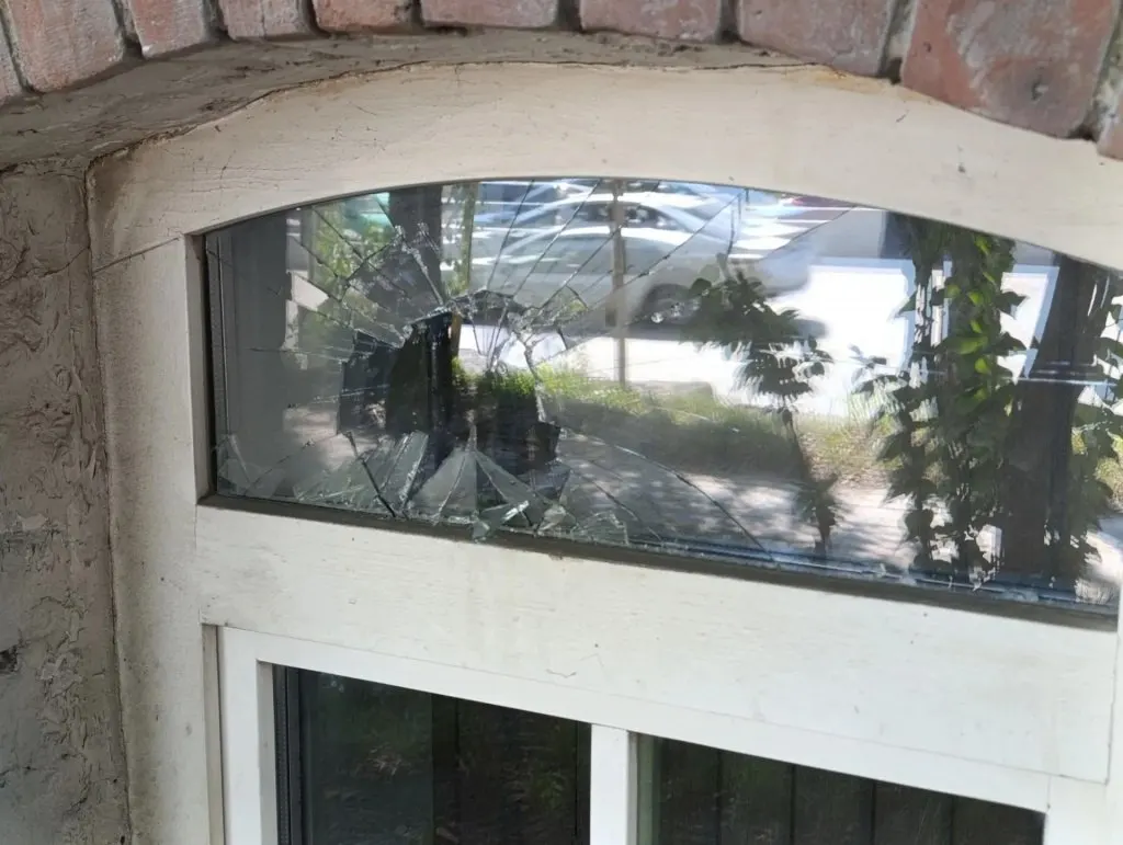В здании новосибирского обкома сообщили о вандализме: мужчина бросал варёную гречку через приоткрытое окно и разбил стекло. Руководство называет инцидент попыткой политической провокации и готовит обращение в правоохранительные органы.