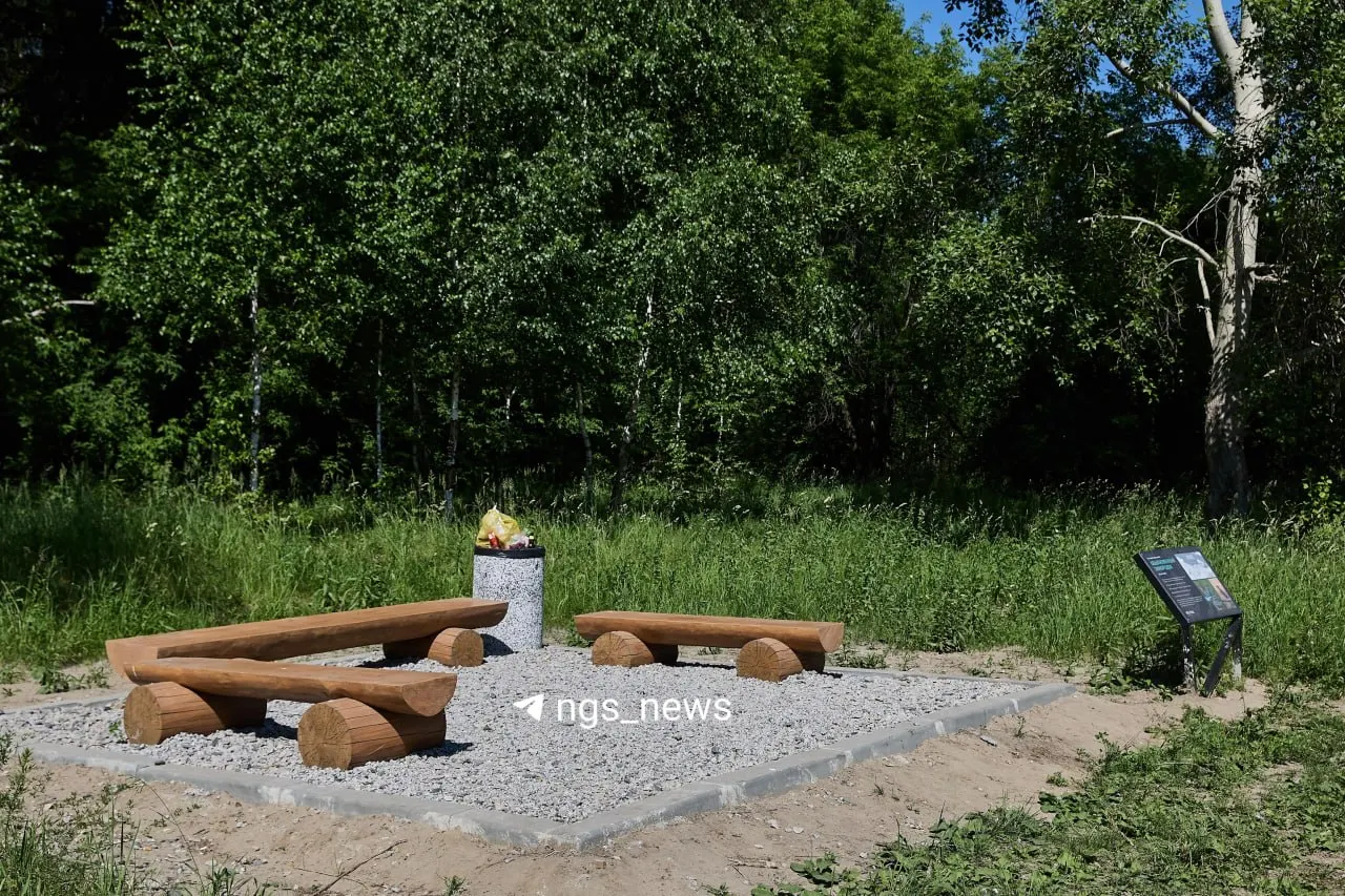 В парке, который соединит «Арену» и Бугринскую рощу, установили несколько одинаковых площадок по миллиону рублей каждая. Архитекторы критикуют нововведение, в мэрии называют их временными.