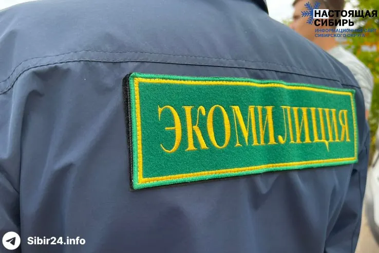 Ректор НГАСУ предложил создать в регионе специализированный правоохранительный орган для контроля за состоянием окружающей среды. Подобное подразделение уже работало в городе в 2008–2010 годах, но было расформировано после проверки.