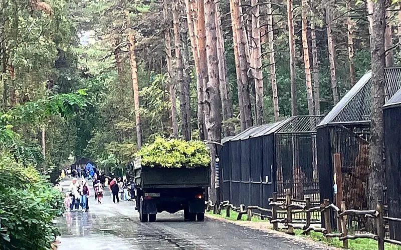 Посетители жалуются на запрет детских самокатов; к концу дня ребёнку приходится нести на руках, в то время как по территории зоопарка продолжают ездить детский поезд и грузовики с ветками.