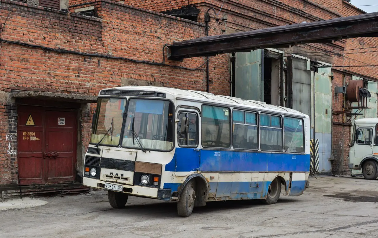 По данным транспортного портала, на маршрутах региона задействованы 906 автобусов ПАЗ-3205 и их модификаций — самый высокий показатель в России; устаревшие модели не приспособлены для пассажиров с инвалидностью.