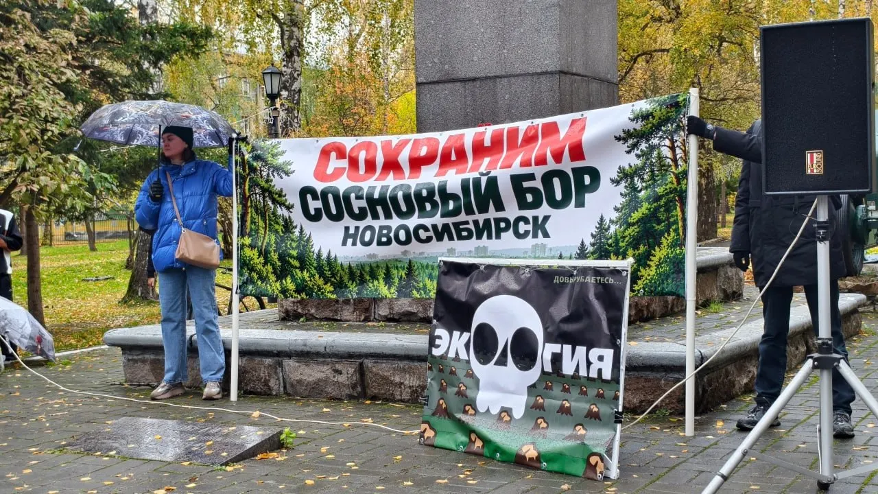 Проверка подтвердила незаконные действия по вырубке деревьев в парке, причастные лица подозреваются в нарушениях.