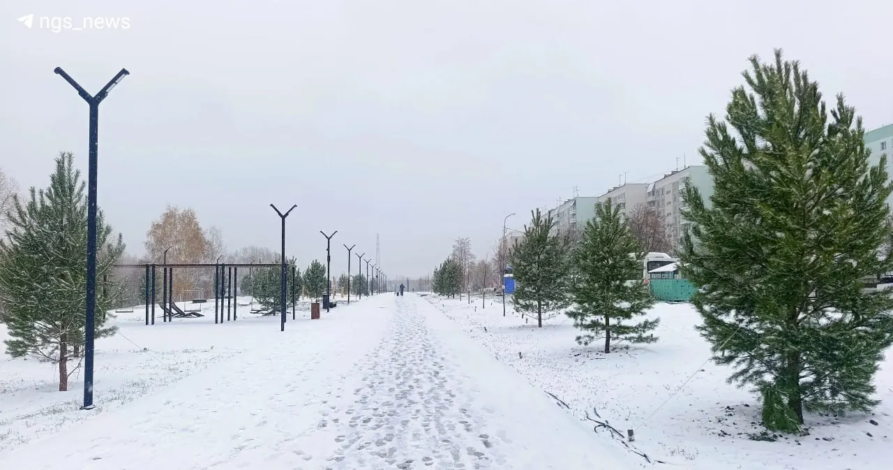Обновления по парку Чемской берег в Новосибирске: сроки, открытие и текущее состояние.