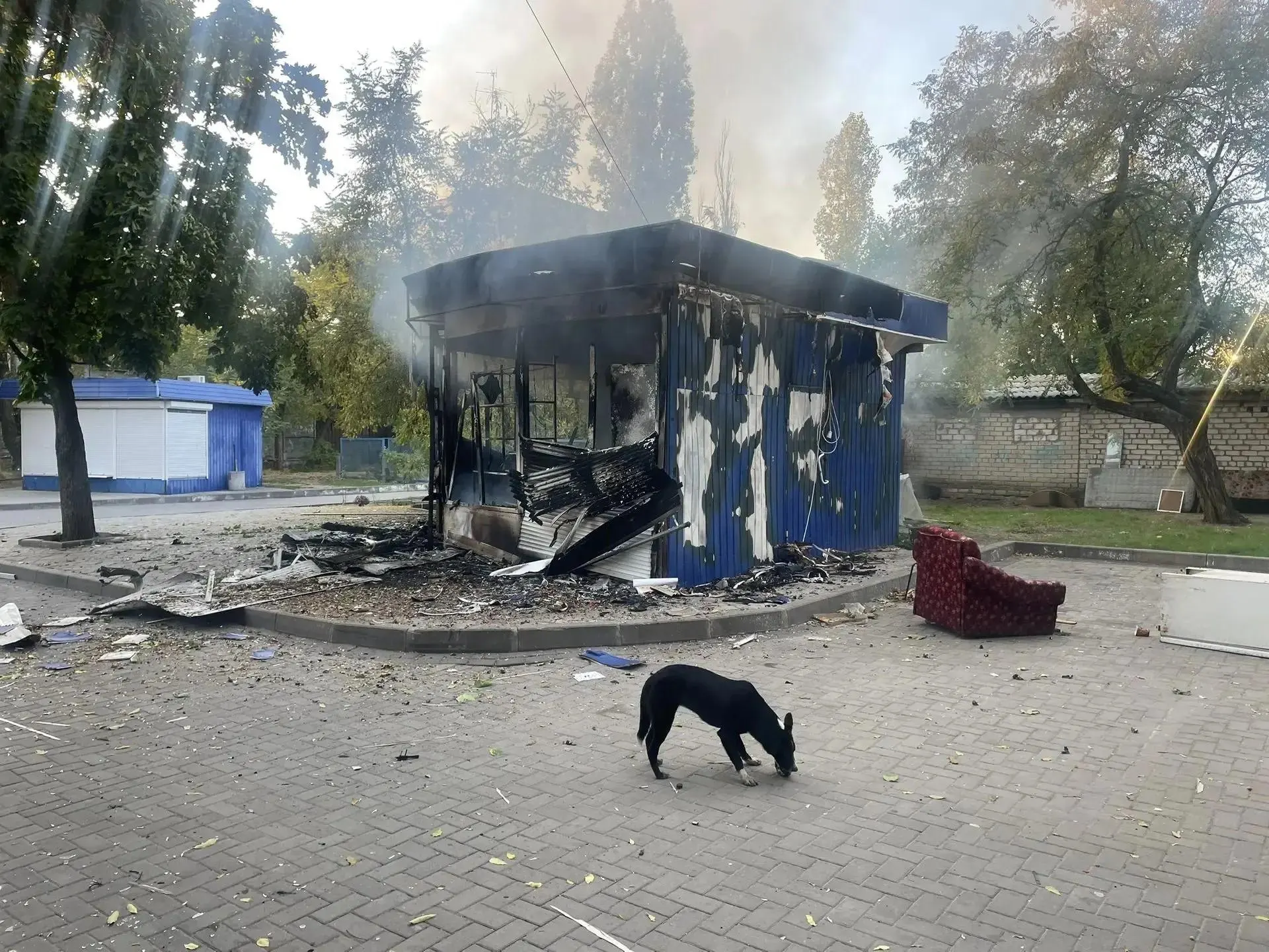 Более 500 беспилотников атаковали регионы страны; зафиксированы жертвы и материальный ущерб, в том числе торговые объекты.
