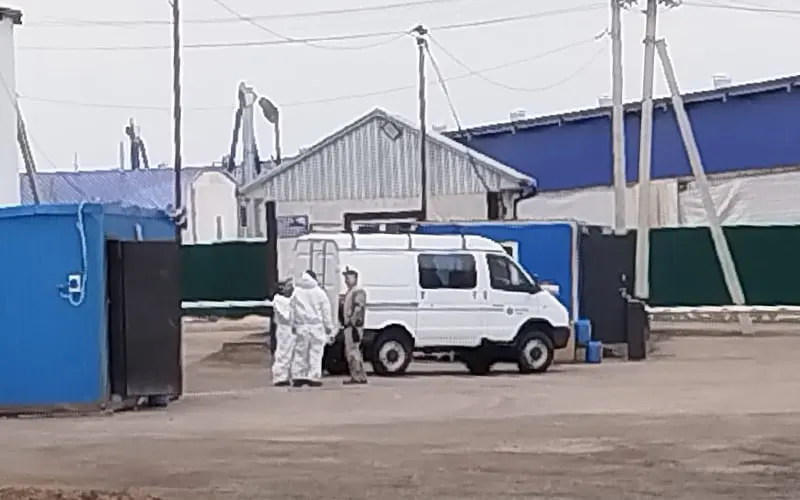 В Промышленновском округе Кемеровской области выставлены блокпосты и оцеплена ферма на территории АО «Ваганово». На предприятии ввели усиленный санитарный режим, официально болезнь пока не названа.