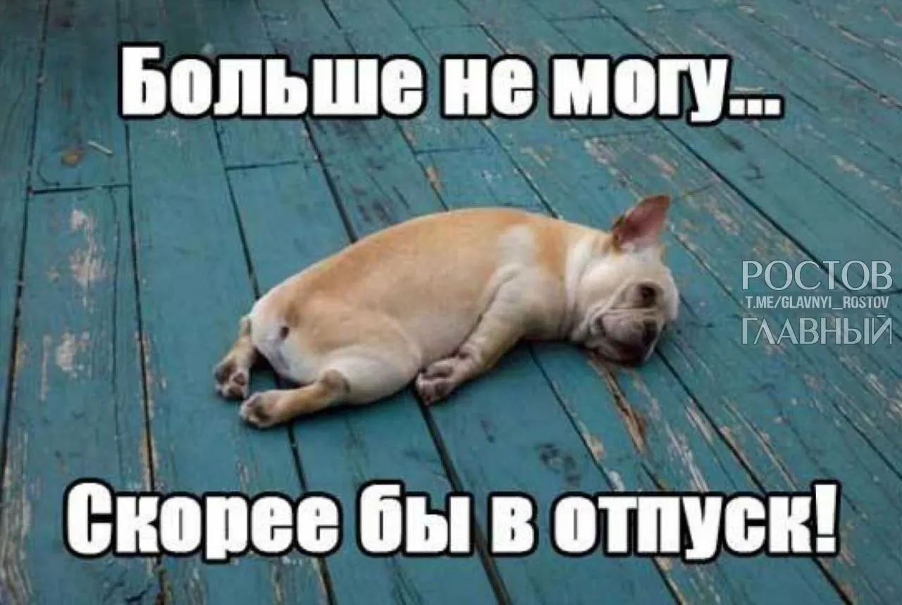 В Госдуме предложили поднять минимальную продолжительность ежегодного отпуска с 28 до 35 дней, чтобы компенсировать включённые в отпуск выходные и снизить риск профессионального выгорания.
