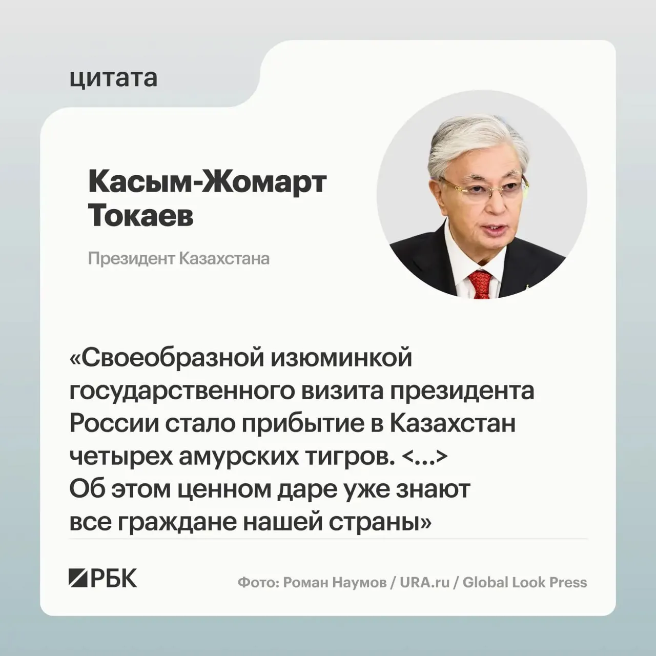 После обращения Казахстана Россия передала семейство амурских тигров для помощи в восстановлении вида на территории республики — президентам показали соответствующую презентацию.