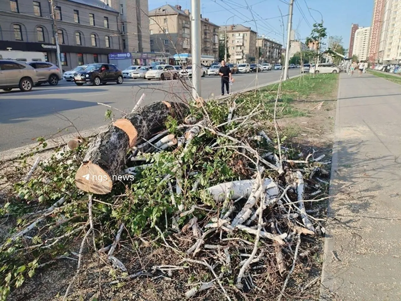 На одной из центральных улиц города снесли 134 и обрезали 30 деревьев. Жители жалуются, что многие из них были зелёными; вопросы компенсационных посадок зависят от выделения финансирования.