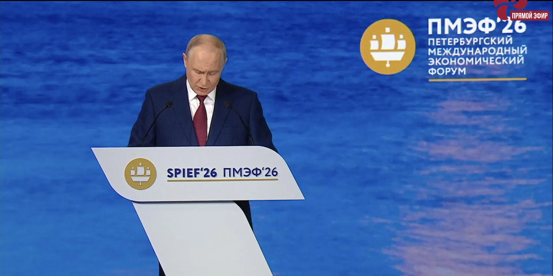 На пленарном заседании ПМЭФ президент попросил Госдуму как можно скорее принять законопроект, который закрепит институт стажировок для выпускников колледжей и вузов: предполагаются срочные трудовые договоры по профилю, полугодовые стажировки и назначение наставников. Вопрос об обязательности участия остаётся открытым.