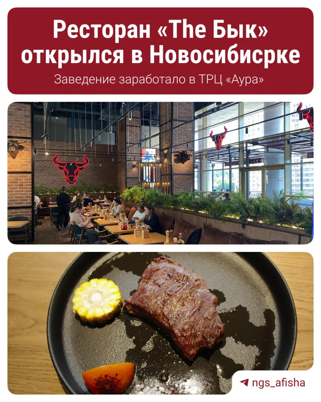 В Новосибирске в ТЦ «Аура» открылся ресторан «The Бык» — около 250 мест, летняя веранда с видом на Ипподромскую. Стейки от 700 ₽, большинство позиций основного меню — 400 ₽.