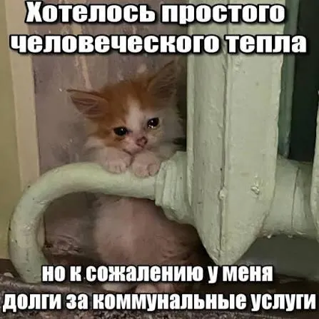 ВС подтвердил, что срок исковой давности в три года защищает должников от принудительного взыскания долгов за капремонт и требует убрать из квитанций просрочки старше этого срока.