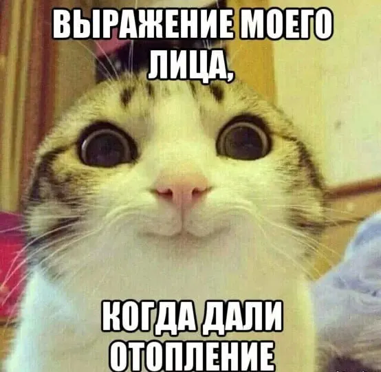 Город достиг 84% готовности к отопительному сезону: примерно 7000 из 8248 домов оборудованы, комиссия оценила готовность 2127 зданий. Сезон начнется после снижения температуры.
