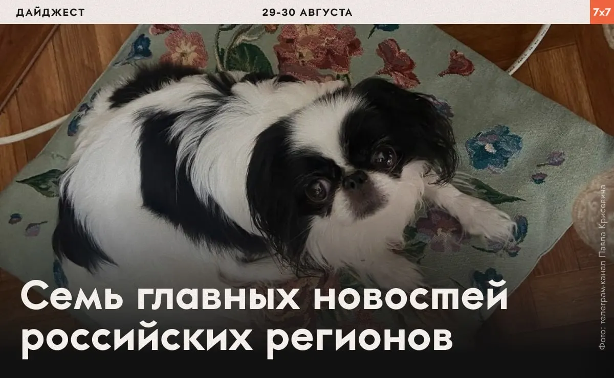 В разных регионах фиксируются случаи давления над политзаключенными, запреты на агитацию и новые расследования в отношении активистов.