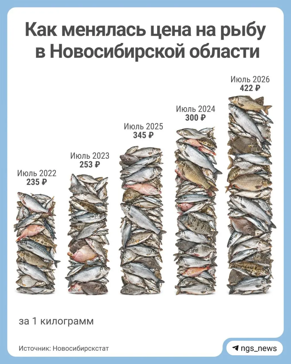 В июле текущего года средняя цена рыбы достигла 422 рублей за килограмм; рост за пять лет оценивается примерно в 44%. За январь этого года фиксировалась цена около 405 рублей за килограмм.