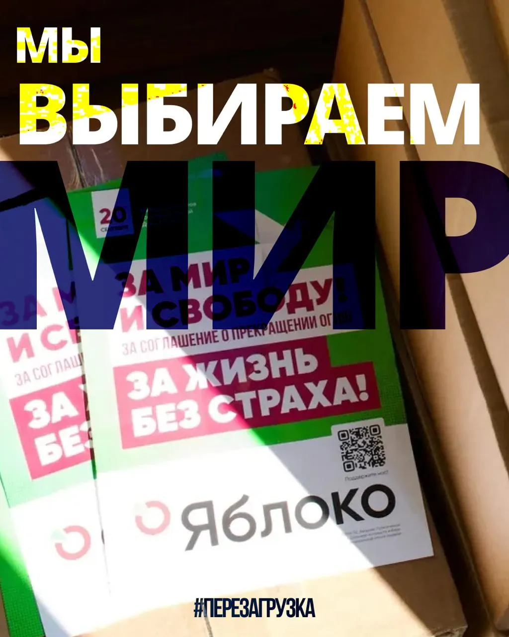 Партия Яблоко координирует агитацию в 53 регионах и собирает новых сторонников по всей стране.