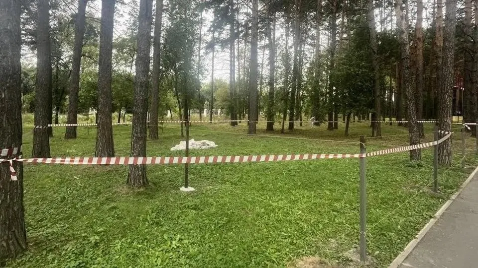 В Первомайском парке откроют мини-зоопарк, где дети смогут кормить животных и наблюдать за ними; подготовку площадки обещают провести без ущерба для деревьев.
