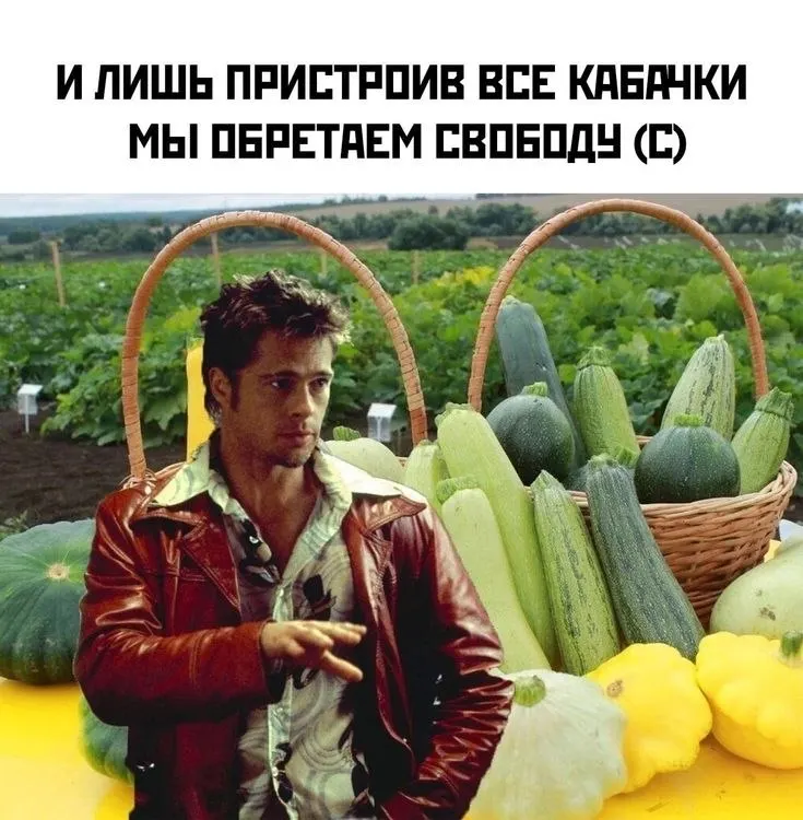 Акция «Добрый урожай» продолжается до октября: приносите свежие овощи и фрукты в зоопарк — животные ждут угощения.