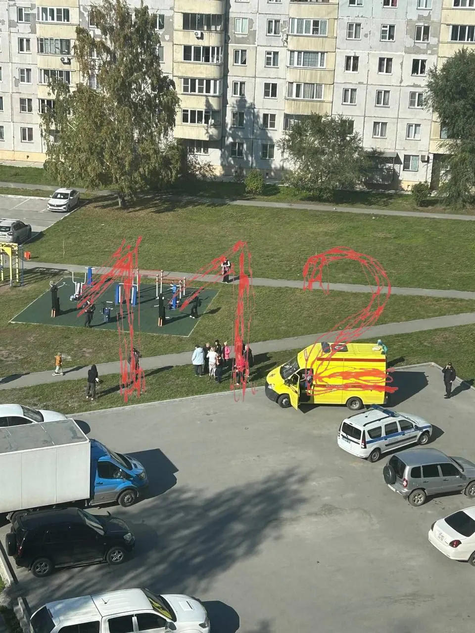 Пострадавшими оказались дети 11 и 4 года; сейчас они в больнице. Нападавшую доставили в отдел полиции; официальных комментариев пока нет.