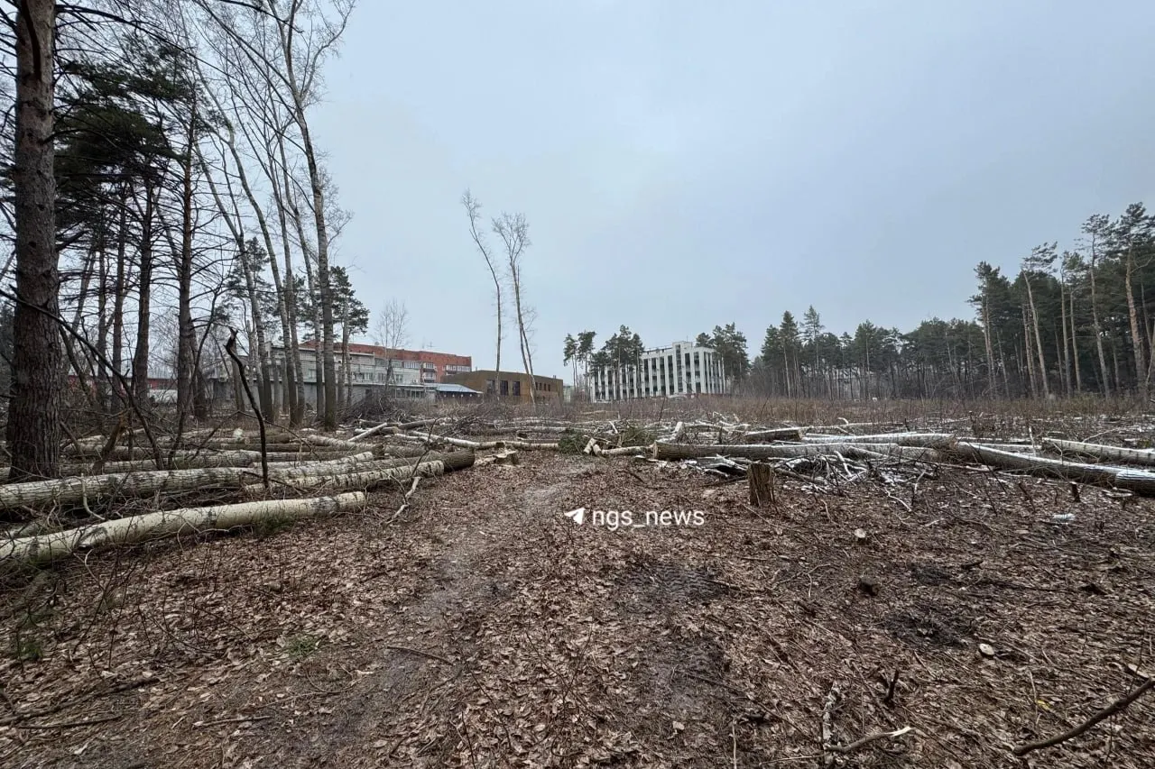 Компания «Альфа» получила право застроить участок на Бардина рядом с Богдана Хмельницкого и старым ЛДС, обязалась вложить 750 млн рублей и передать не менее 693 кв. м детям-сиротам; вскоре в регионе стартуют новые проекты ЖК «Облака» и «Сосновый бор».