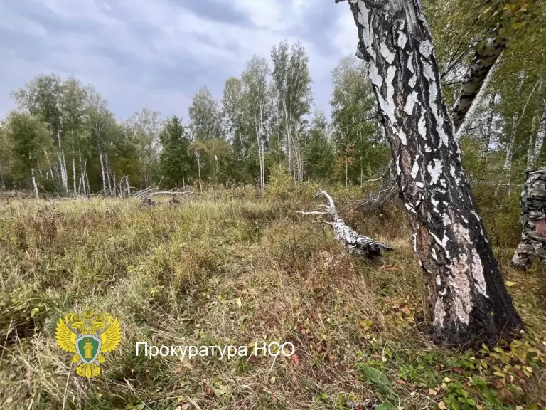 Занимаюсь Сексом С Бывшей Женой Занимаюсь Сексом С Бывшей Женой