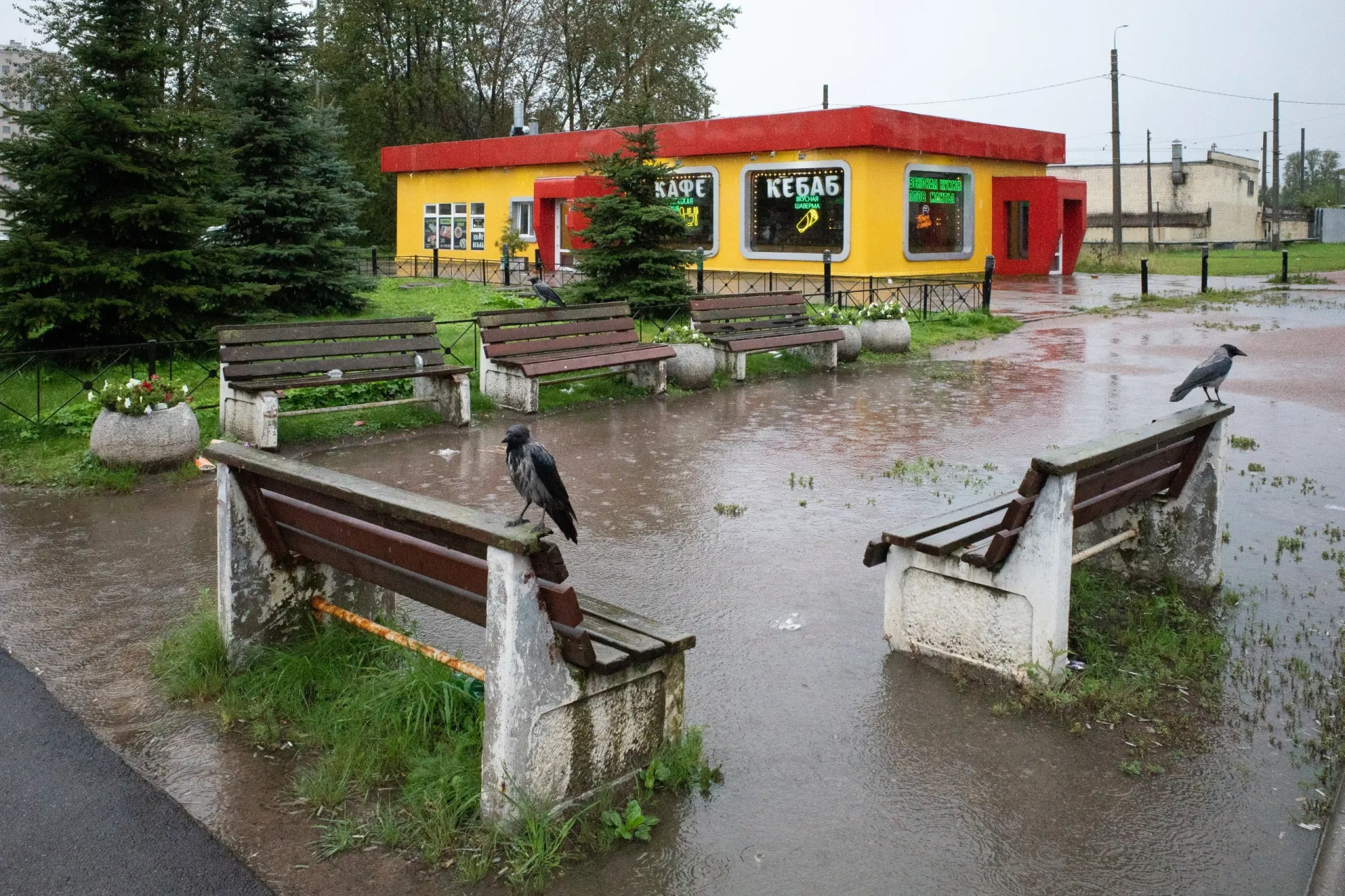 Обзор событий в Петербурге, по России и в мире: развод, политика и инциденты, а также обновления на границе с Финляндией.