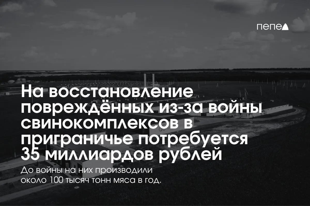 На отраслевой пресс-конференции обсудили расходы на безопасность, защиту инфраструктуры и влияние на объём производства в Белгородской, Курской и Брянской областях.