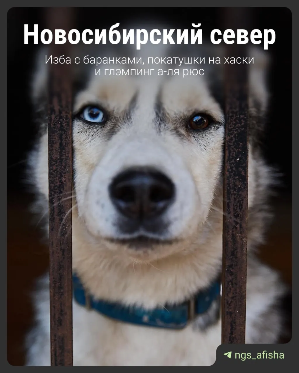 Путешествие по северу Новосибирской области: семь маршрутов поблизости от города, идеи для выходных и розыгрыш билетов на концерт t.A.T.u.