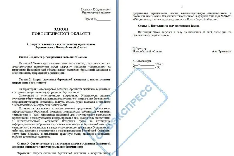 Правительство региона одобрило законопроект, предусматривающий штрафы за склонение беременных к прерыванию беременности; документ направят на рассмотрение депутатами Заксобрания.