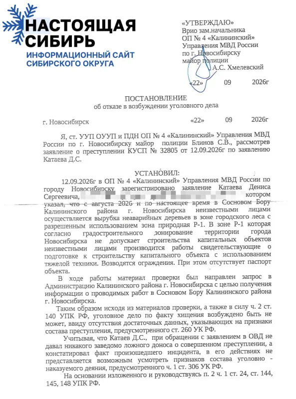 Полиция отказалась возбудить уголовное дело по факту незаконной рубки соснового бора в Калининском районе; прокуратура настаивает на расследовании, жители и активисты требуют мер.