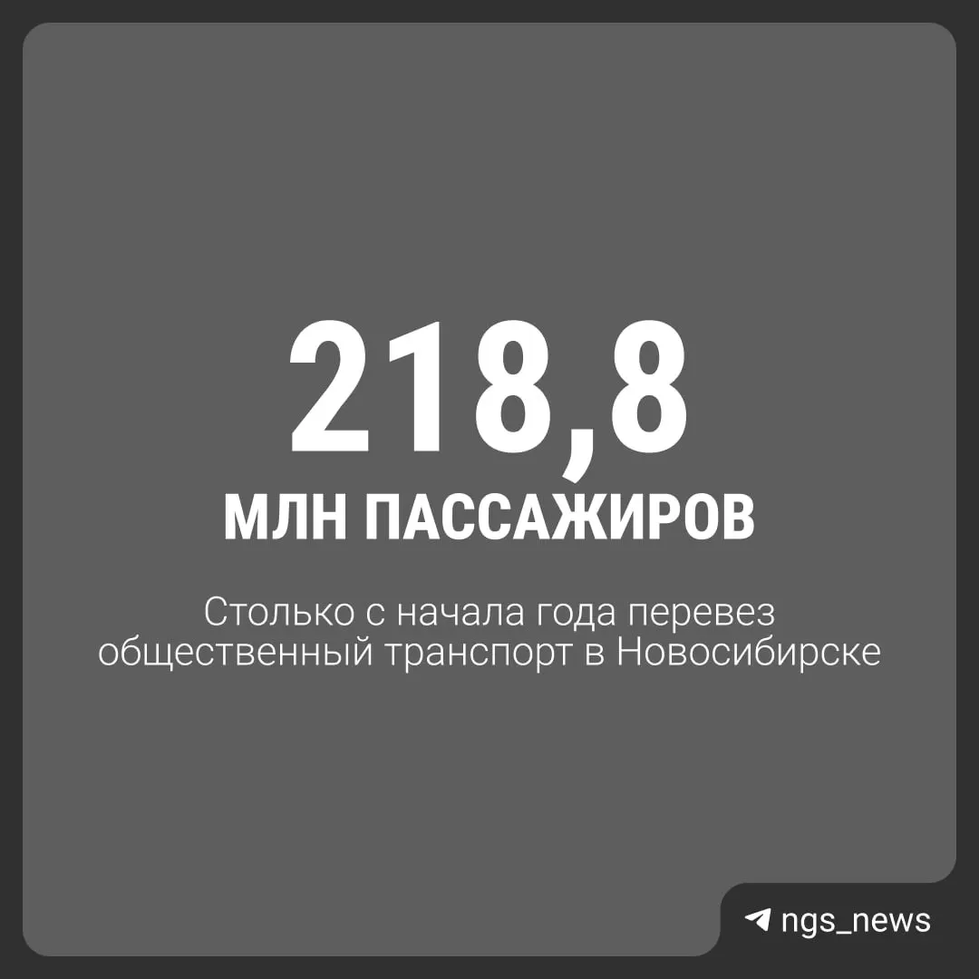 Цифры перевозок и предпочтения жителей в общественном транспорте города.