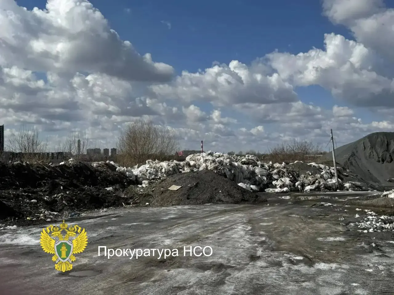 Свалку разместили в Железнодорожном районе на улице Кубановская рядом с берегом Оби. Прокуратура внесла представление главе администрации Центрального округа, свалка ликвидирована, должностное лицо привлечено к дисциплинарной ответственности.