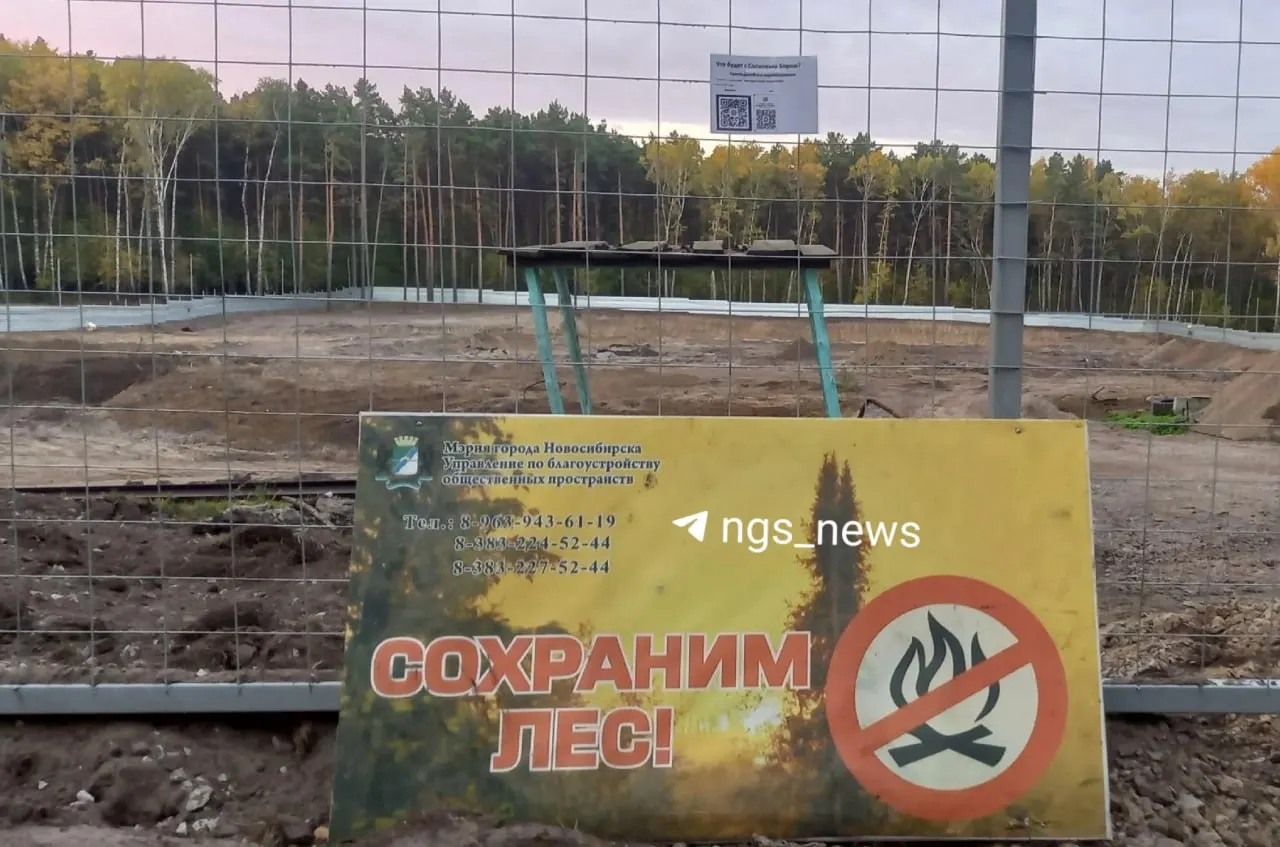 В Новосибирске активисты обсуждают проект благоустройства парка в Сосновом бору после вырубки деревьев; требуют проверки действий подрядчика и властей.